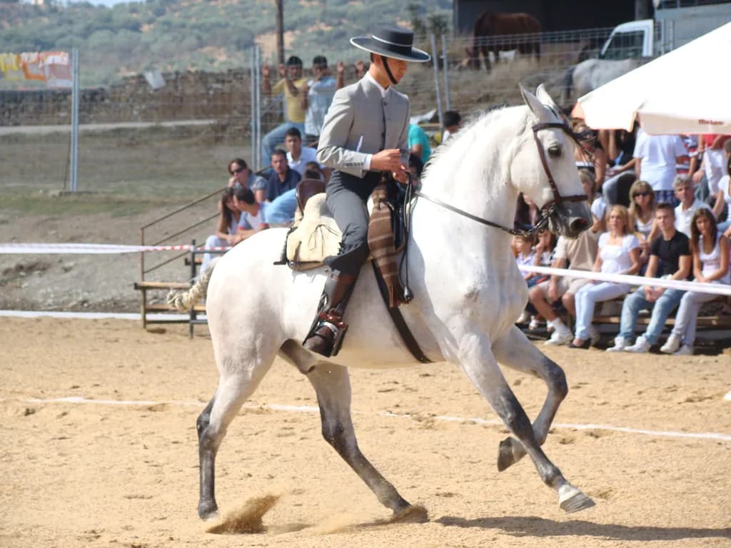 Hispano-Árabe