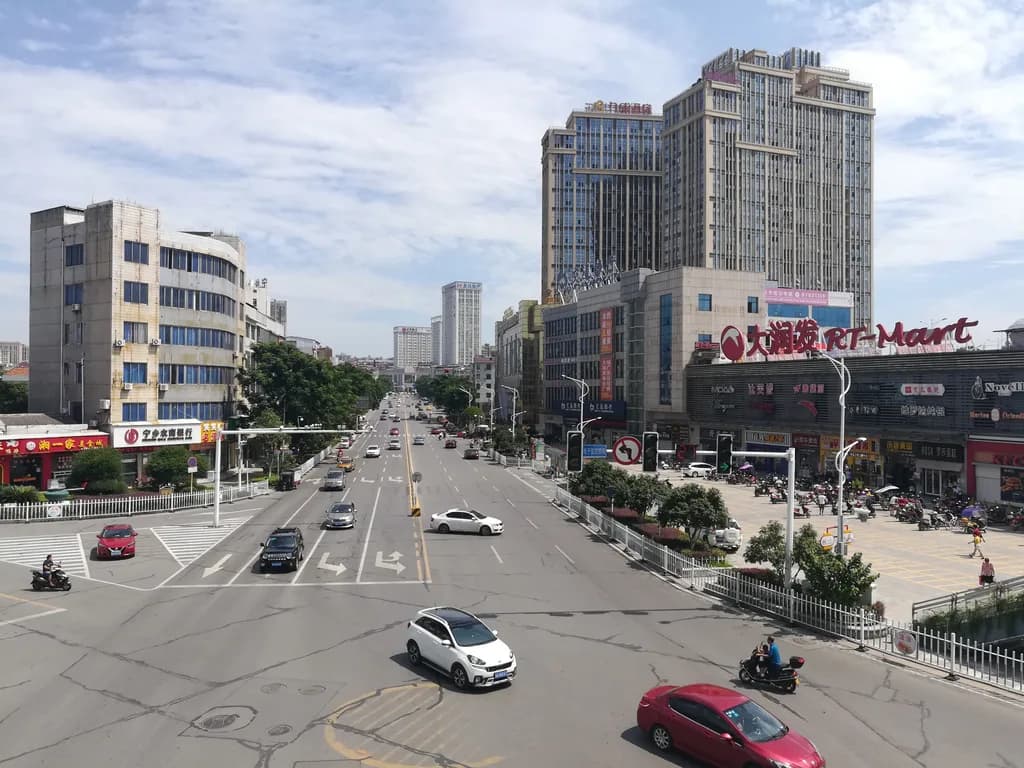 Ningxiang Domuzu