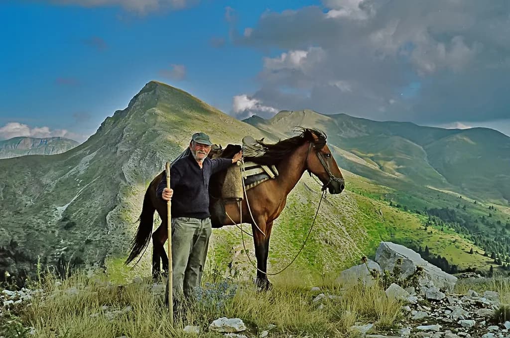 Pindos Atı