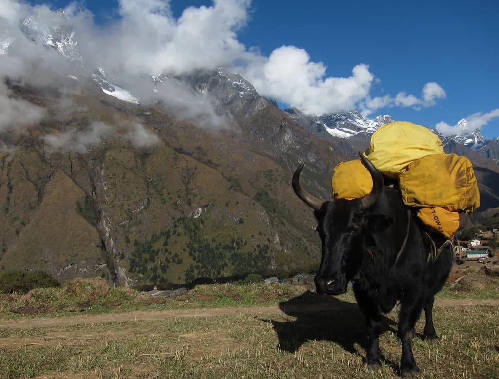 Khainag